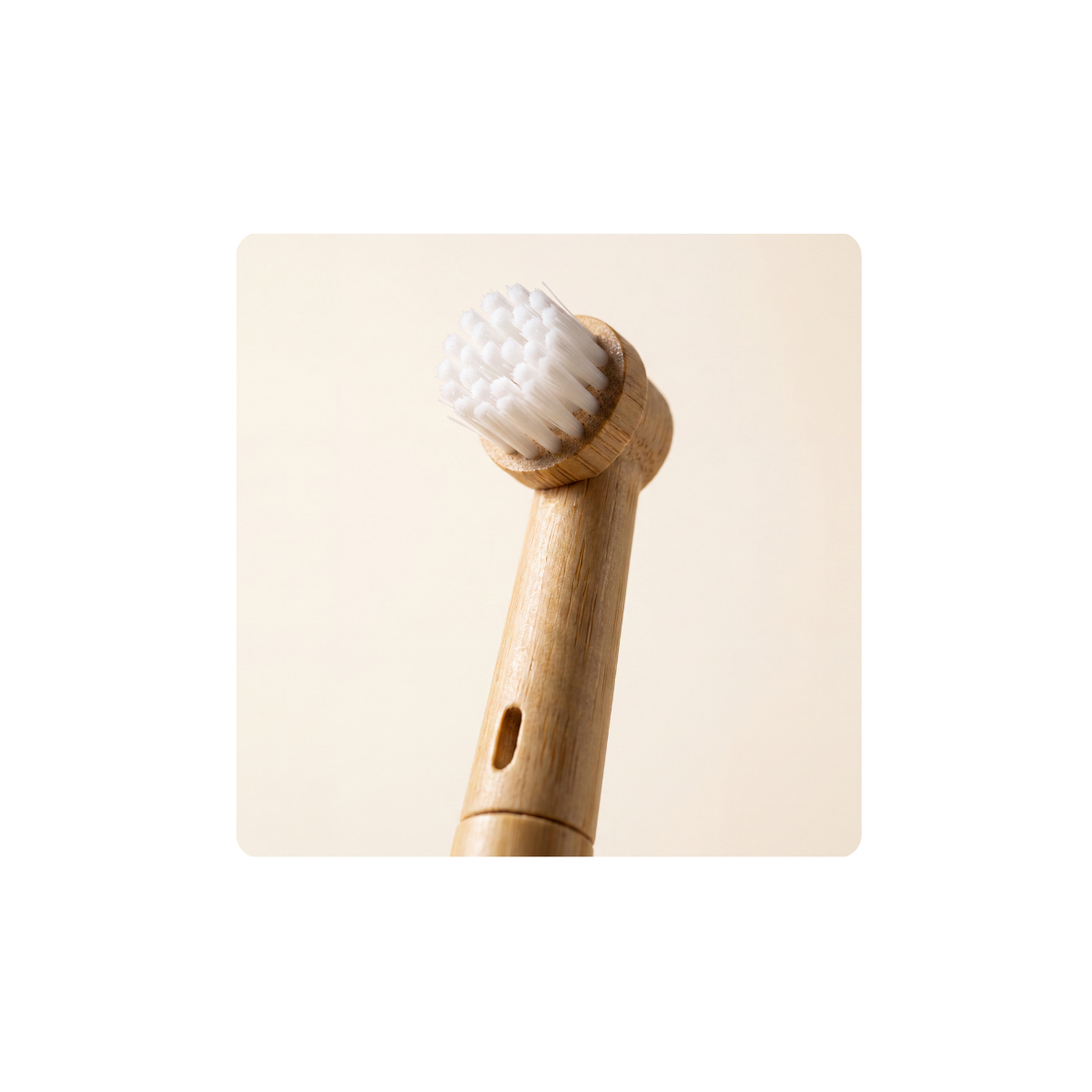 Welke bamboe opzetborstel past op je Oral-B?